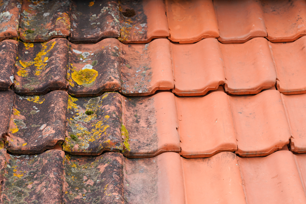 Comparison,Roof,Top,Before,And,After,Cleaning,Moss,Lichen,High Nettoyage à Seilh